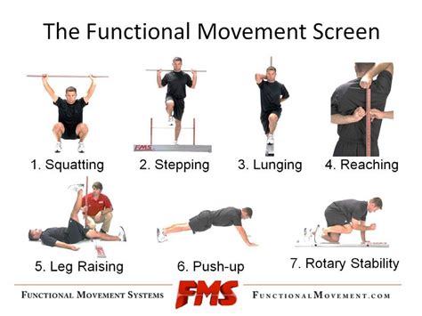 Functional Movements .